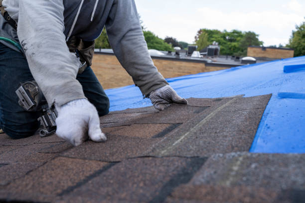 Fast & Reliable Emergency Roof Repairs in West Belmar, NJ